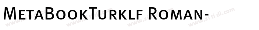 MetaBookTurklf Roman字体转换
